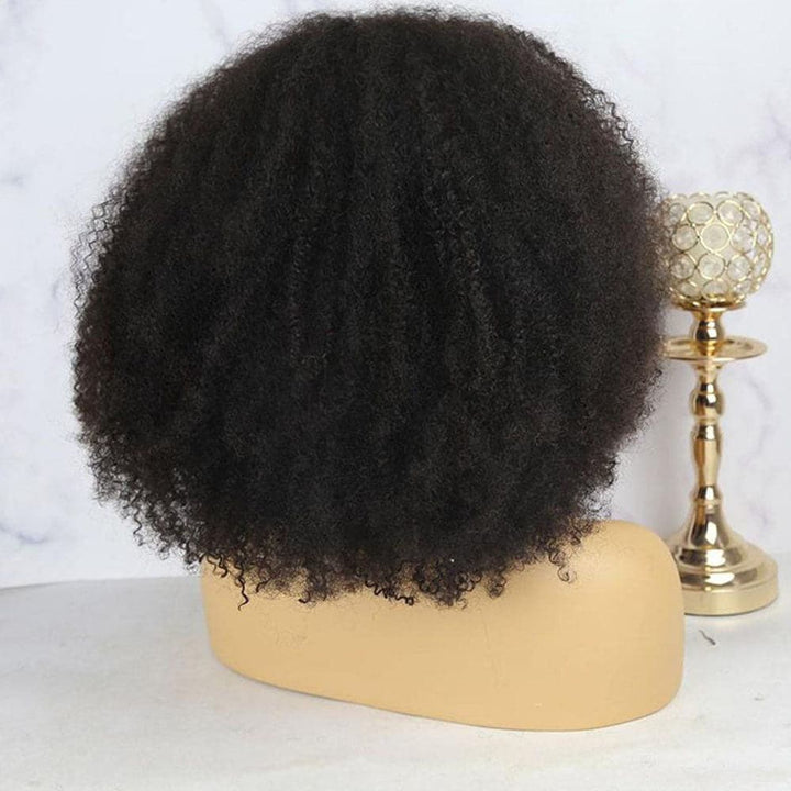 Nina Afro 13x6 Lace Front Wig