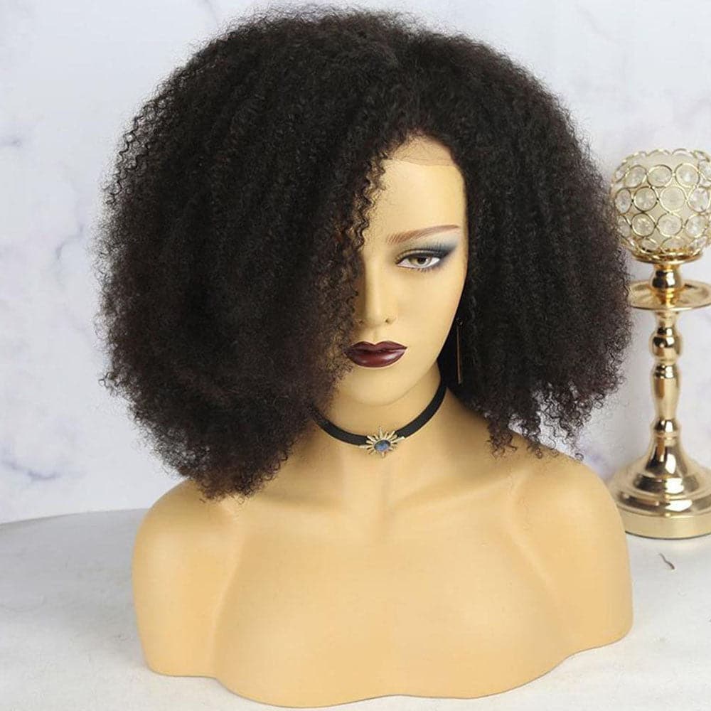 Nina Afro 13x6 Lace Front Wig