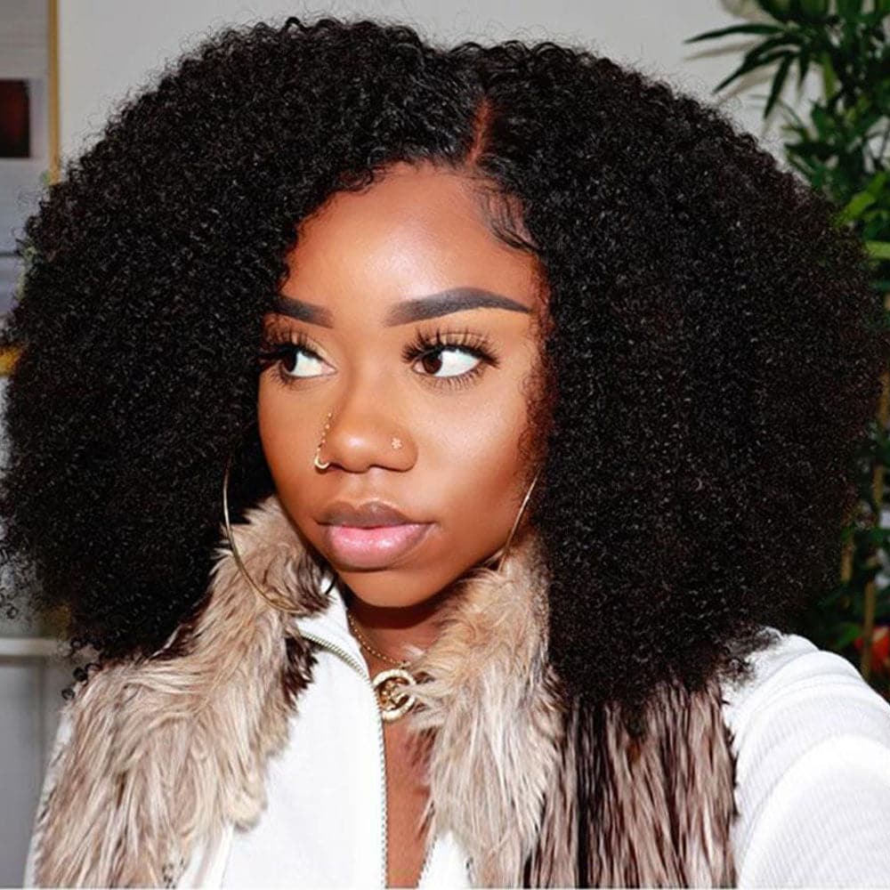 Nina Afro 13x6 Lace Front Wig