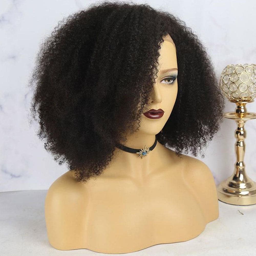 Nina Afro 13x6 Lace Front Wig