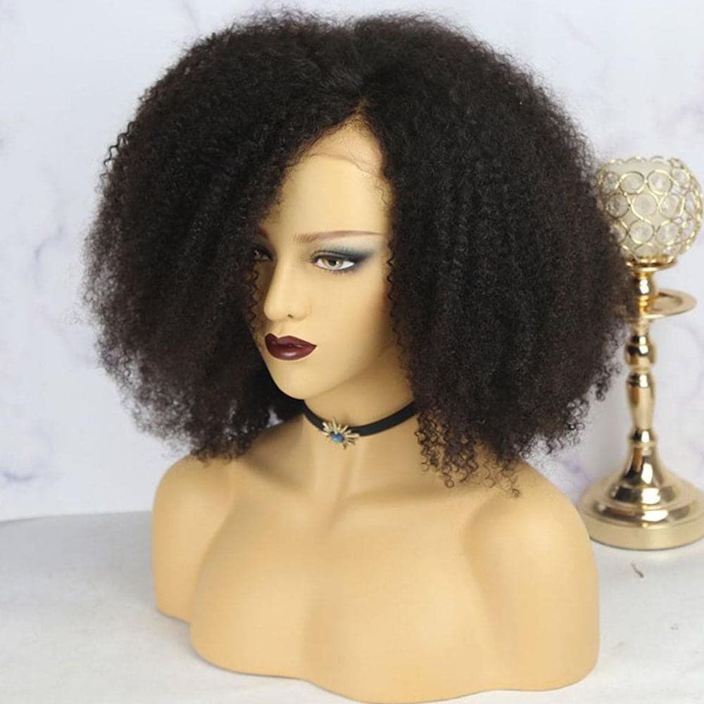 Nina Afro 13x6 Lace Front Wig